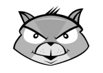  Feature Examples